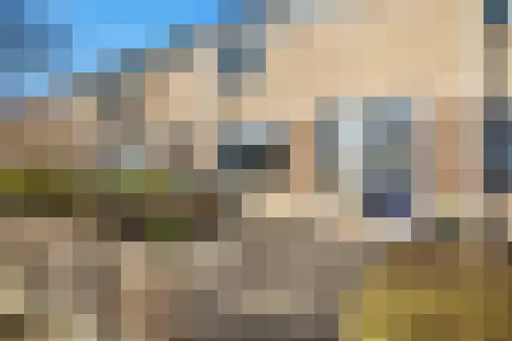 van Ostadestraat 4 Oud-Beijerland thumbnail 30