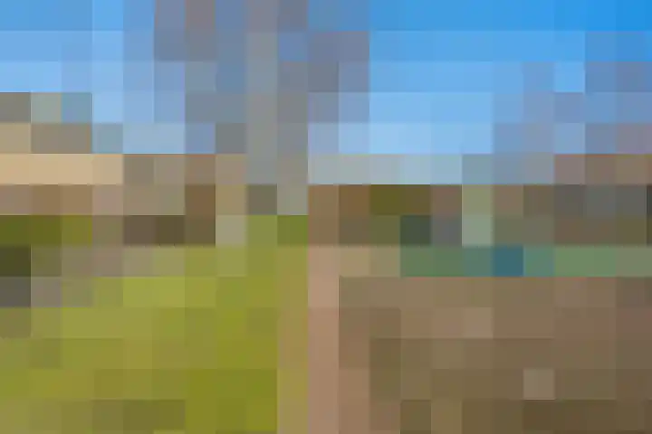 van Ostadestraat 4 Oud-Beijerland thumbnail 32