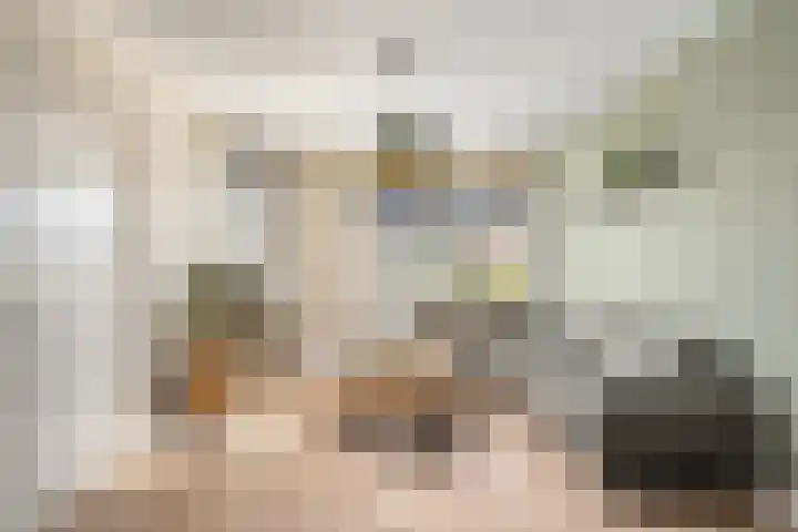 van Ostadestraat 4 Oud-Beijerland thumbnail 4