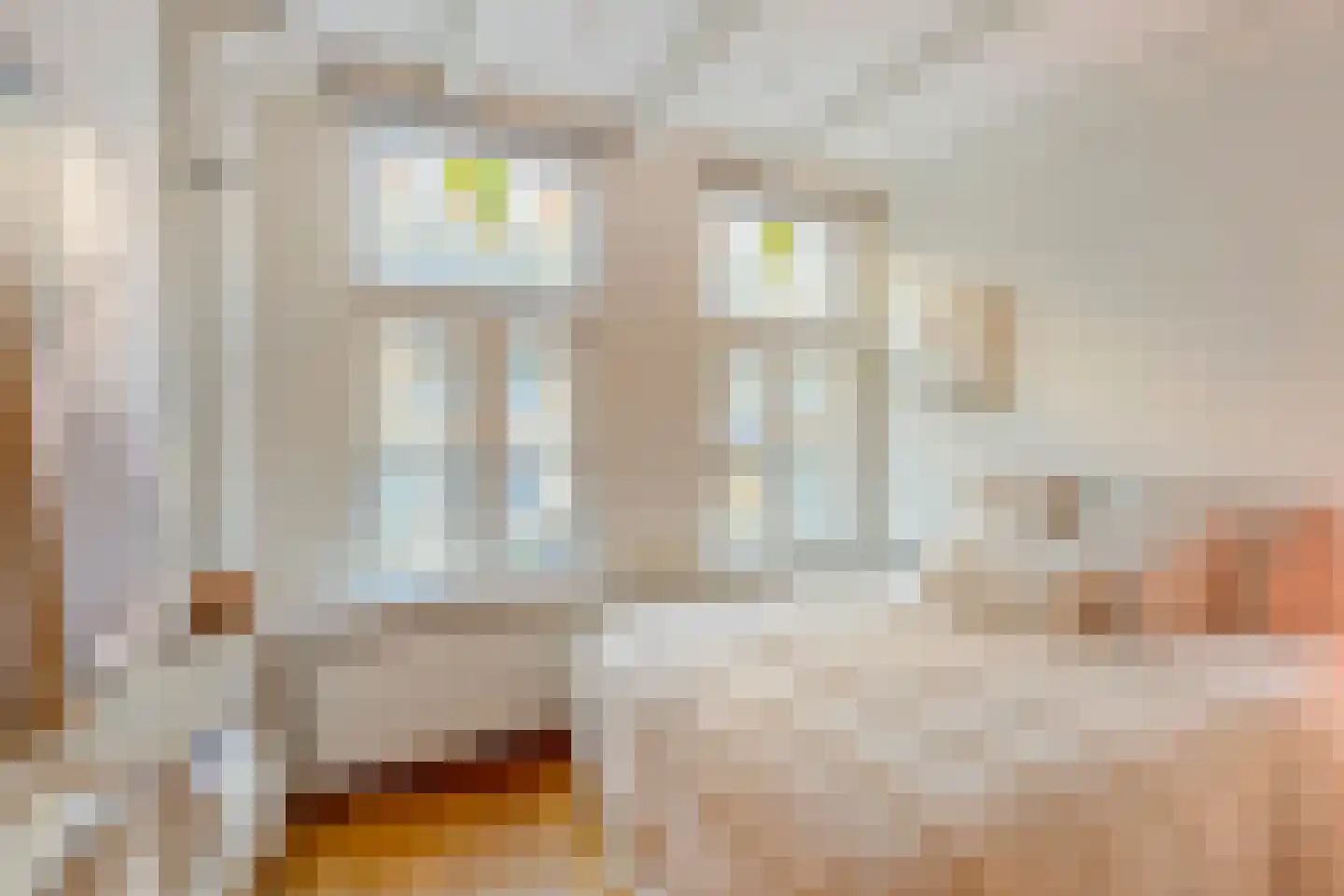 Van Ostadestraat 436 Amsterdam thumbnail 13
