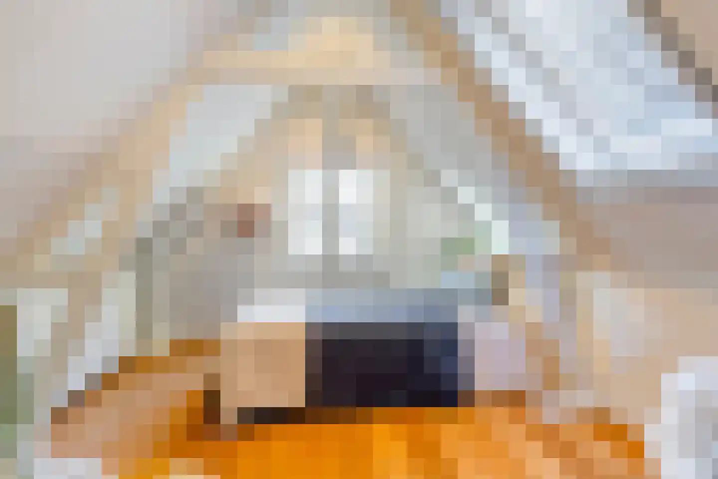 Van Ostadestraat 436 Amsterdam thumbnail 19