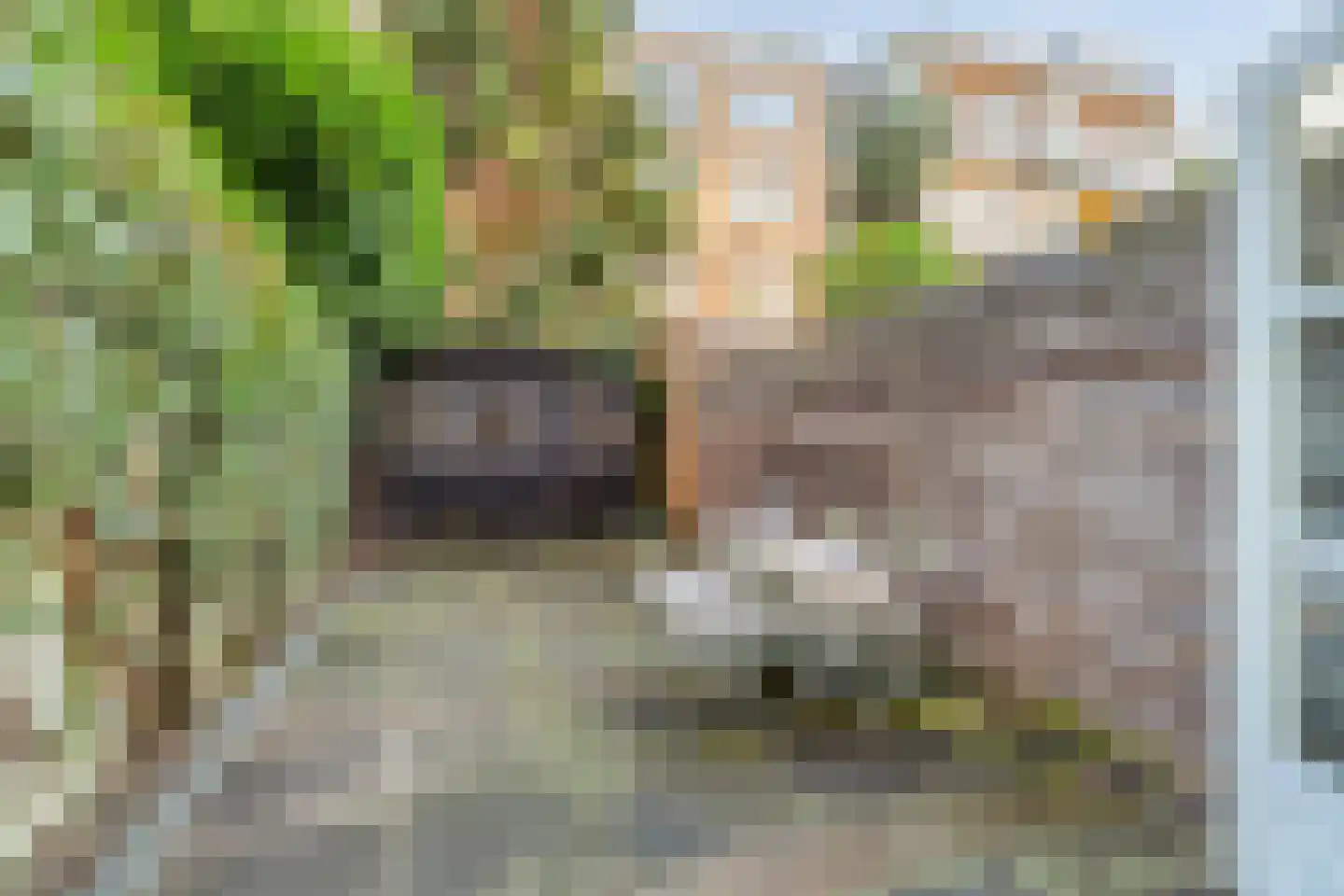 Van Ostadestraat 436 Amsterdam thumbnail 9