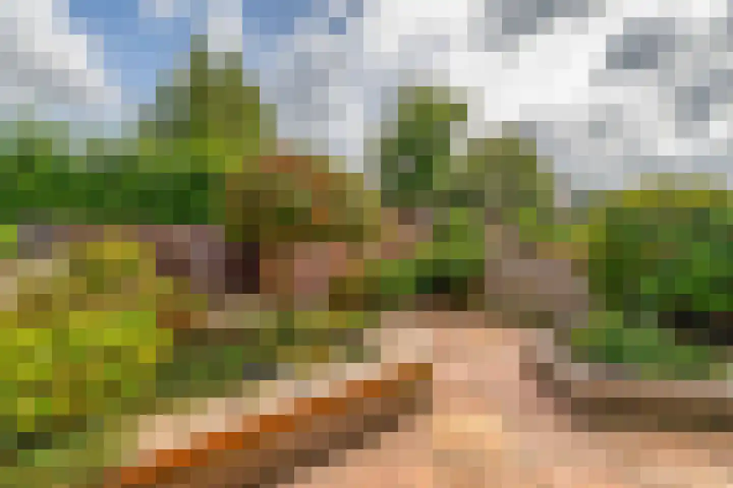 van Ostadestraat 44 Lisse thumbnail 34
