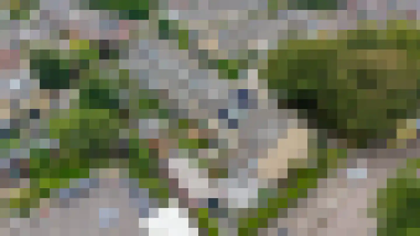 van Ostadestraat 44 Lisse thumbnail 44
