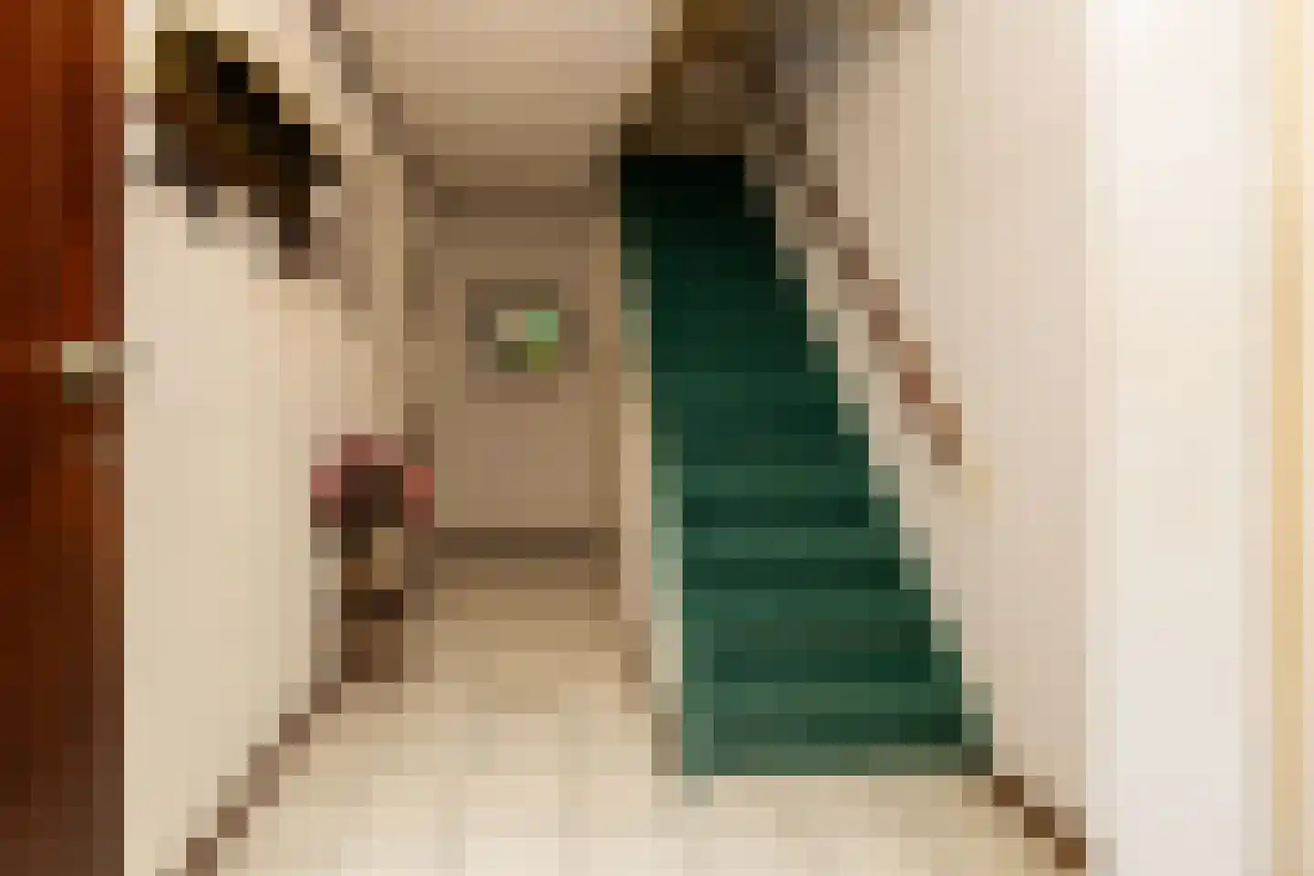 van Ostadestraat 48 Lisse thumbnail 11