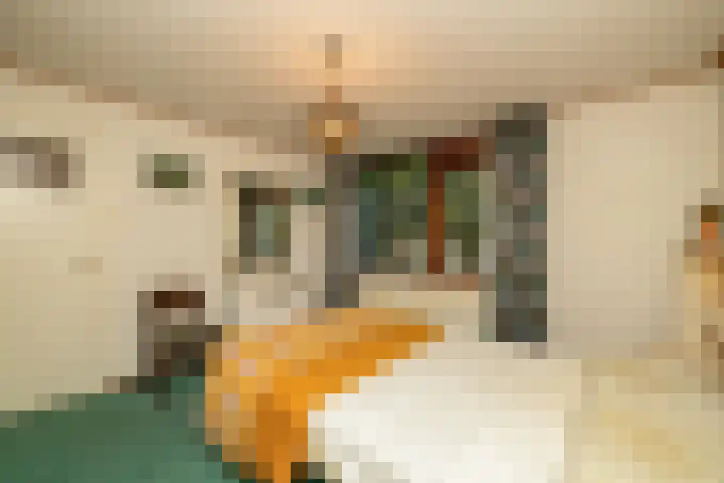 van Ostadestraat 48 Lisse thumbnail 15