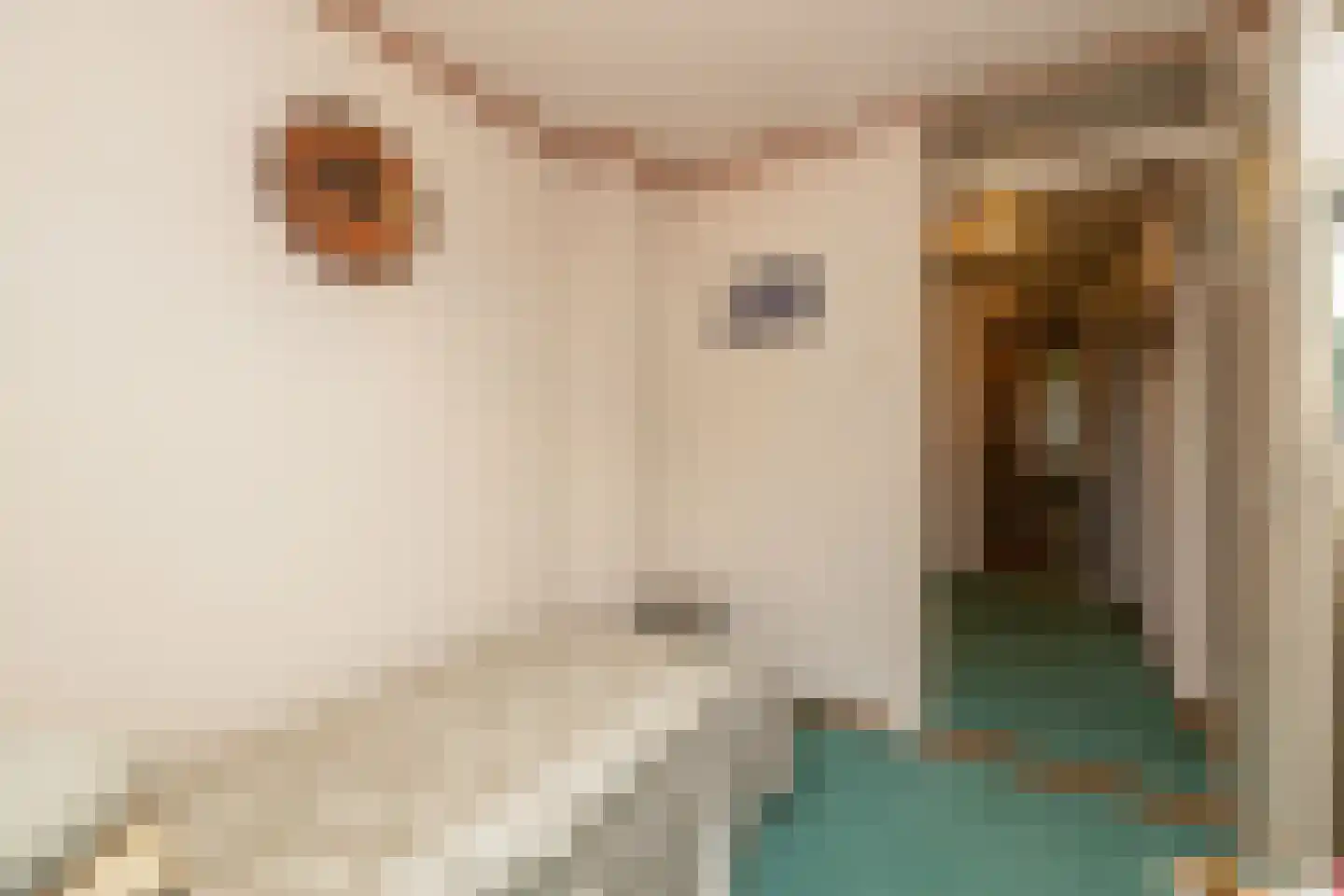 van Ostadestraat 48 Lisse thumbnail 17