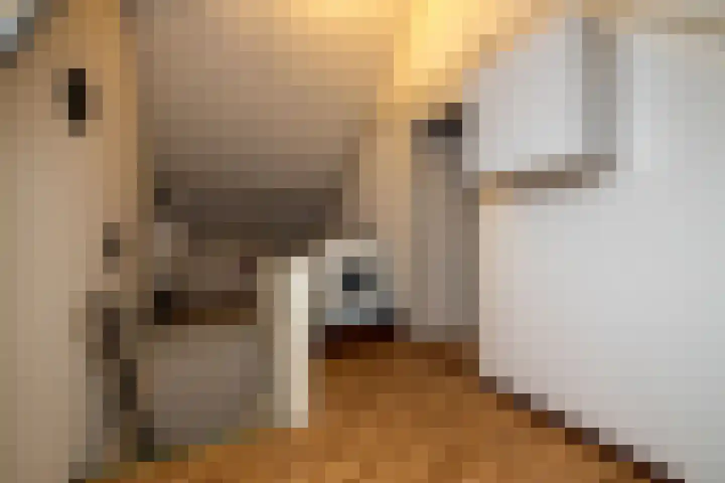 van Ostadestraat 48 Lisse thumbnail 21