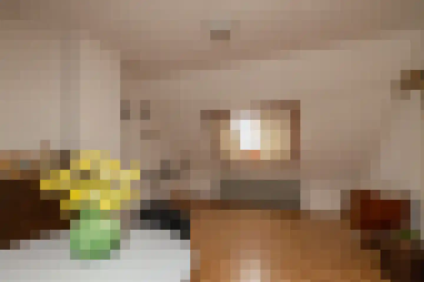 van Ostadestraat 48 Lisse thumbnail 22