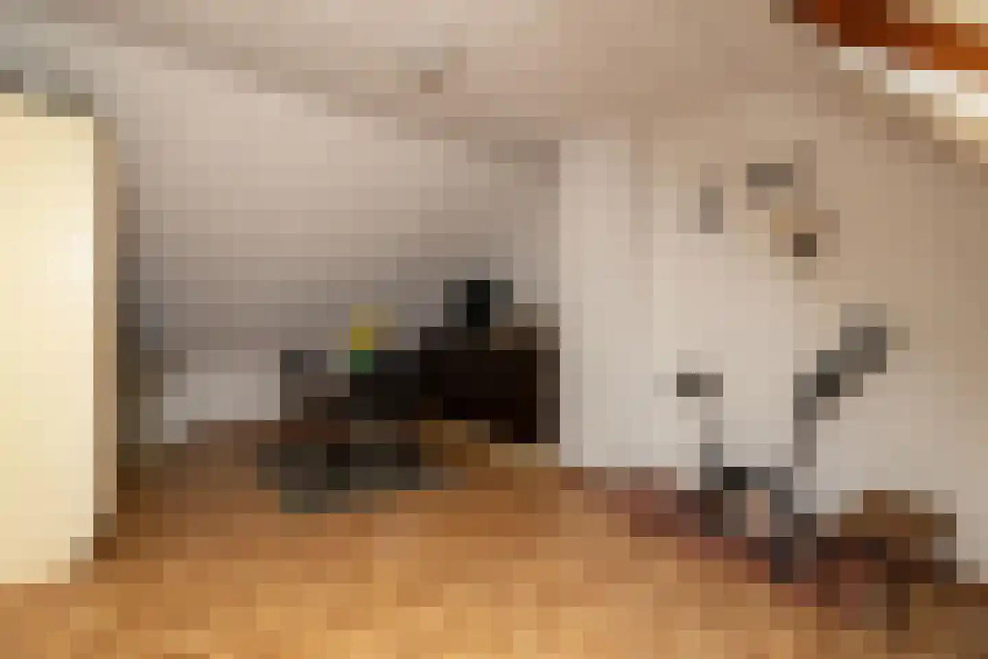 van Ostadestraat 48 Lisse thumbnail 23