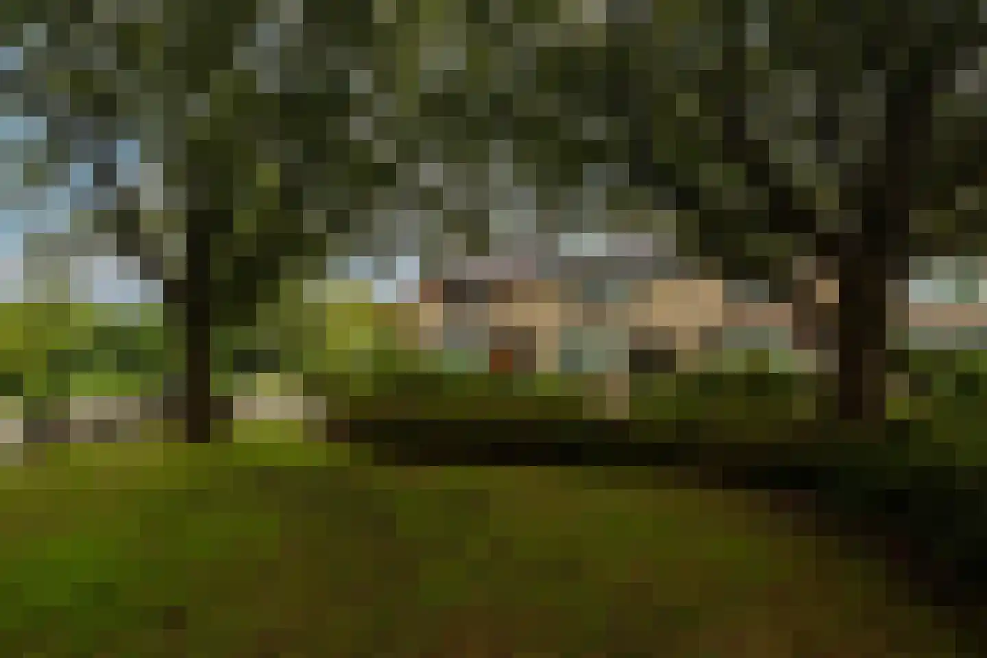 van Ostadestraat 48 Lisse thumbnail 27