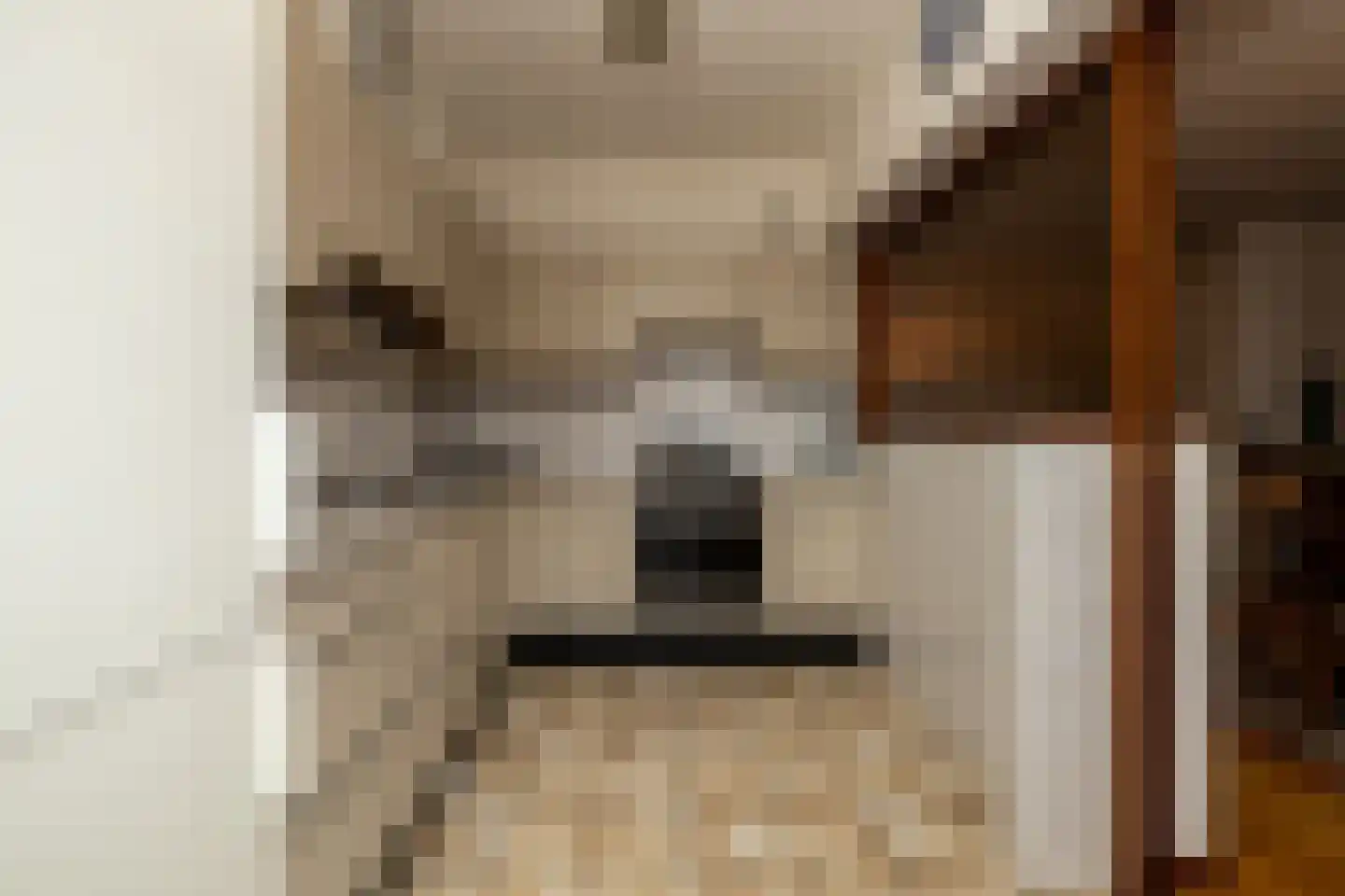 van Ostadestraat 48 Lisse thumbnail 7