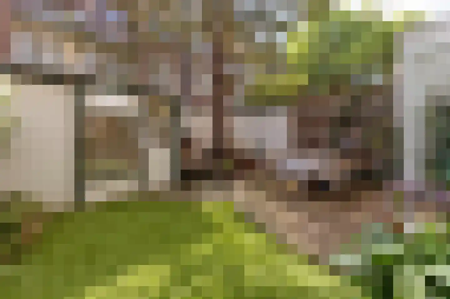 Van Ostadestraat 484 H in Amsterdam