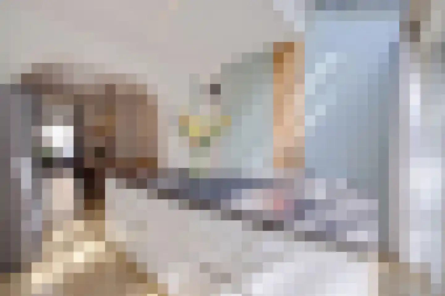 Van Ostadestraat 484 H Amsterdam thumbnail 12