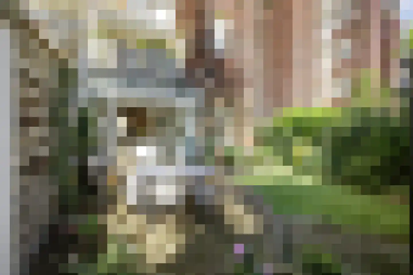 Van Ostadestraat 484 H Amsterdam thumbnail 16