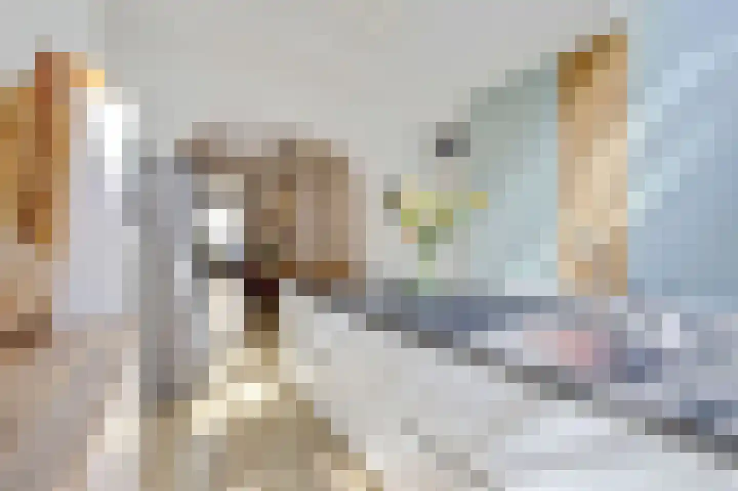 Van Ostadestraat 484 H Amsterdam thumbnail 20