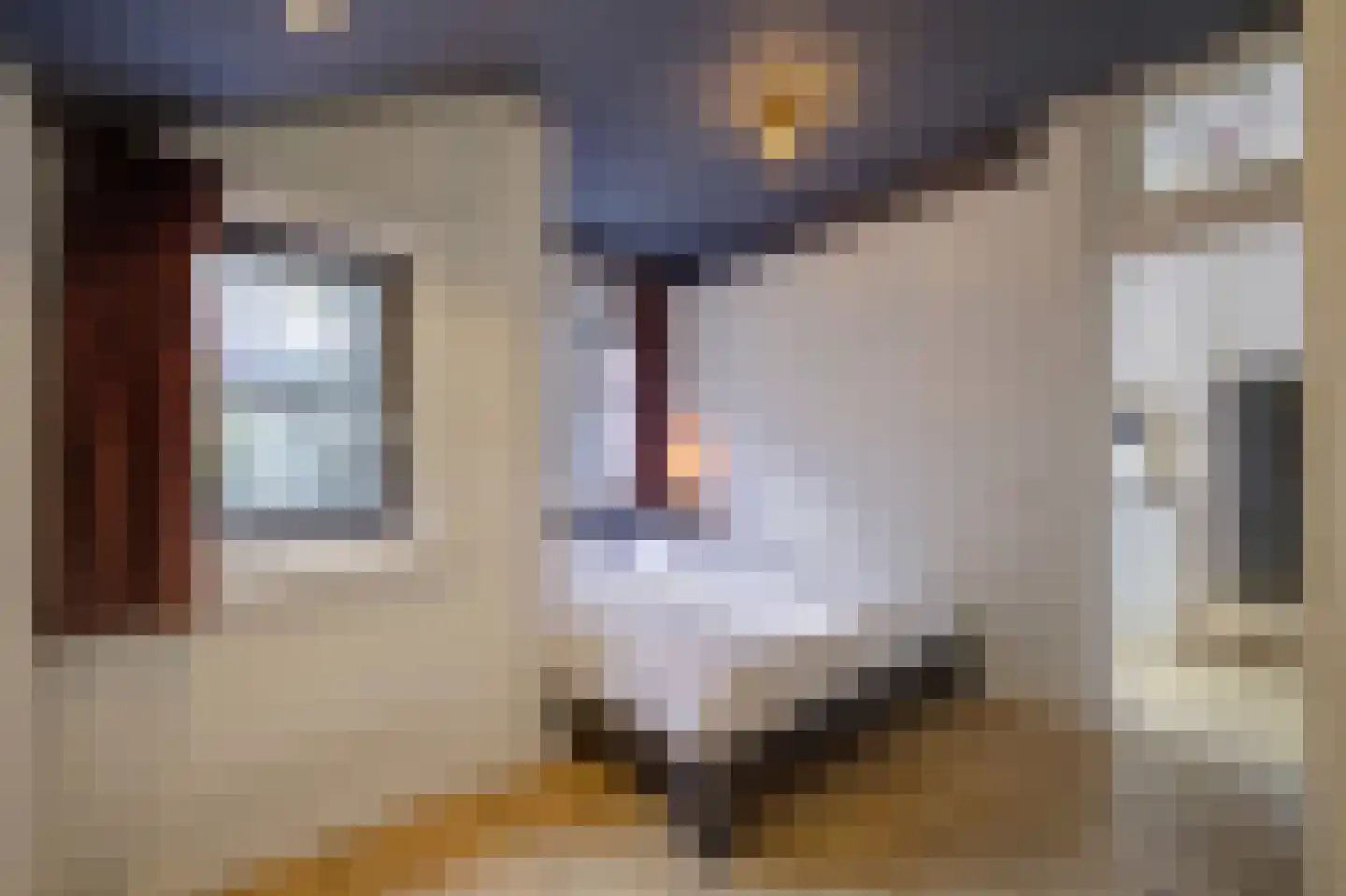 Van Ostadestraat 484 H Amsterdam thumbnail 22