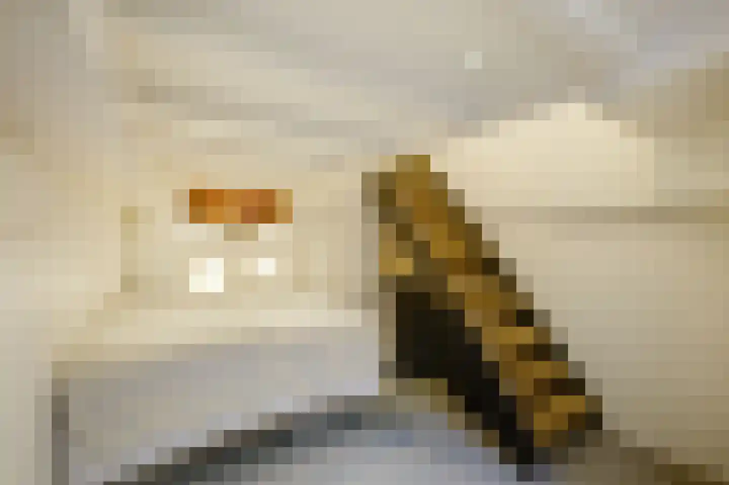 Van Ostadestraat 484 H Amsterdam thumbnail 29