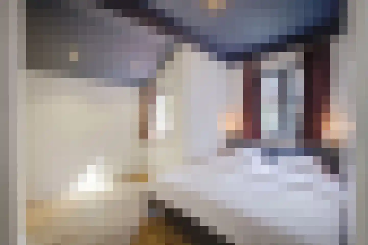 Van Ostadestraat 484 H Amsterdam thumbnail 5