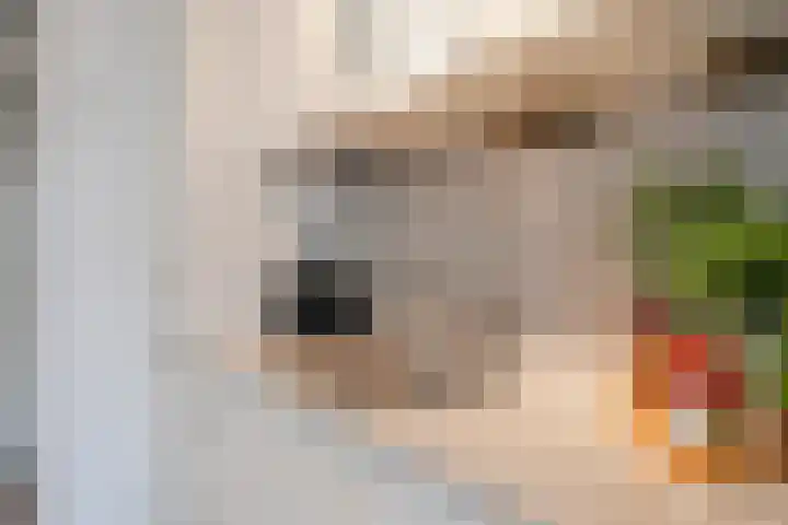 Van Ostadestraat 51 3 Amsterdam thumbnail 19