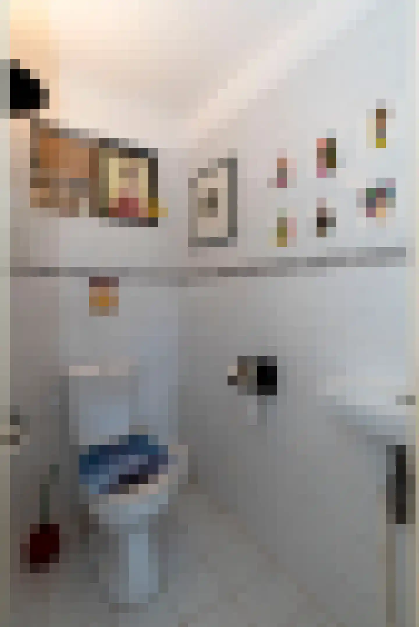 van Ostadestraat 53 A Hengelo thumbnail 12