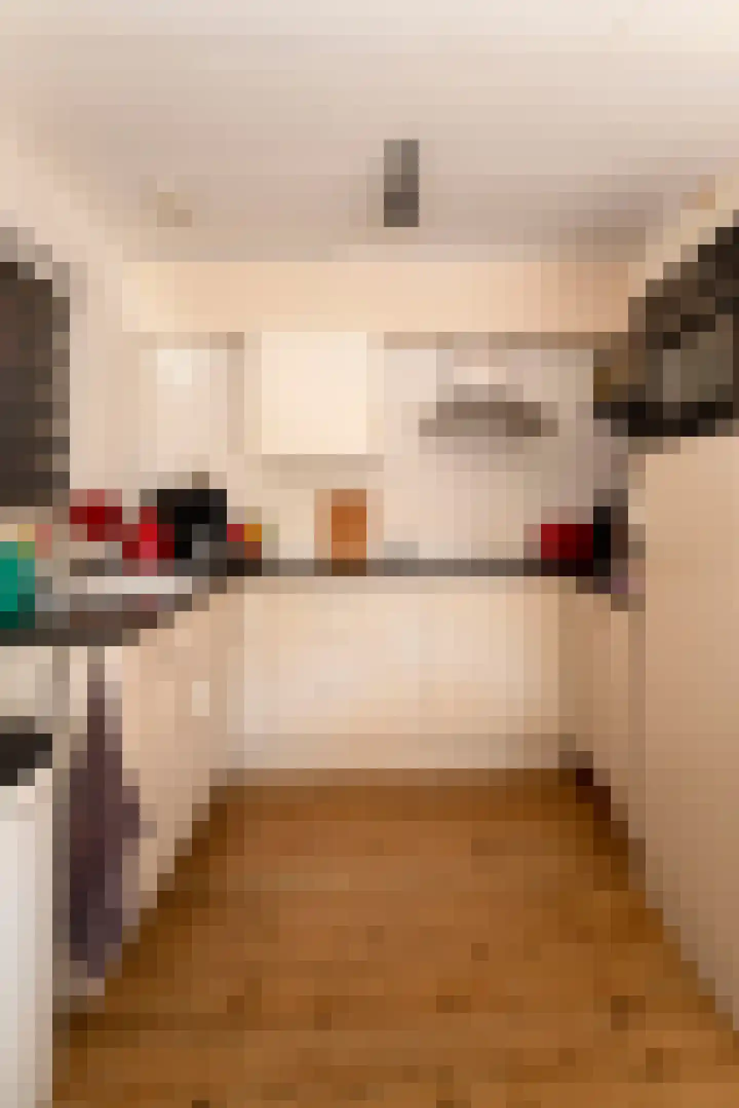 van Ostadestraat 53 A Hengelo thumbnail 6
