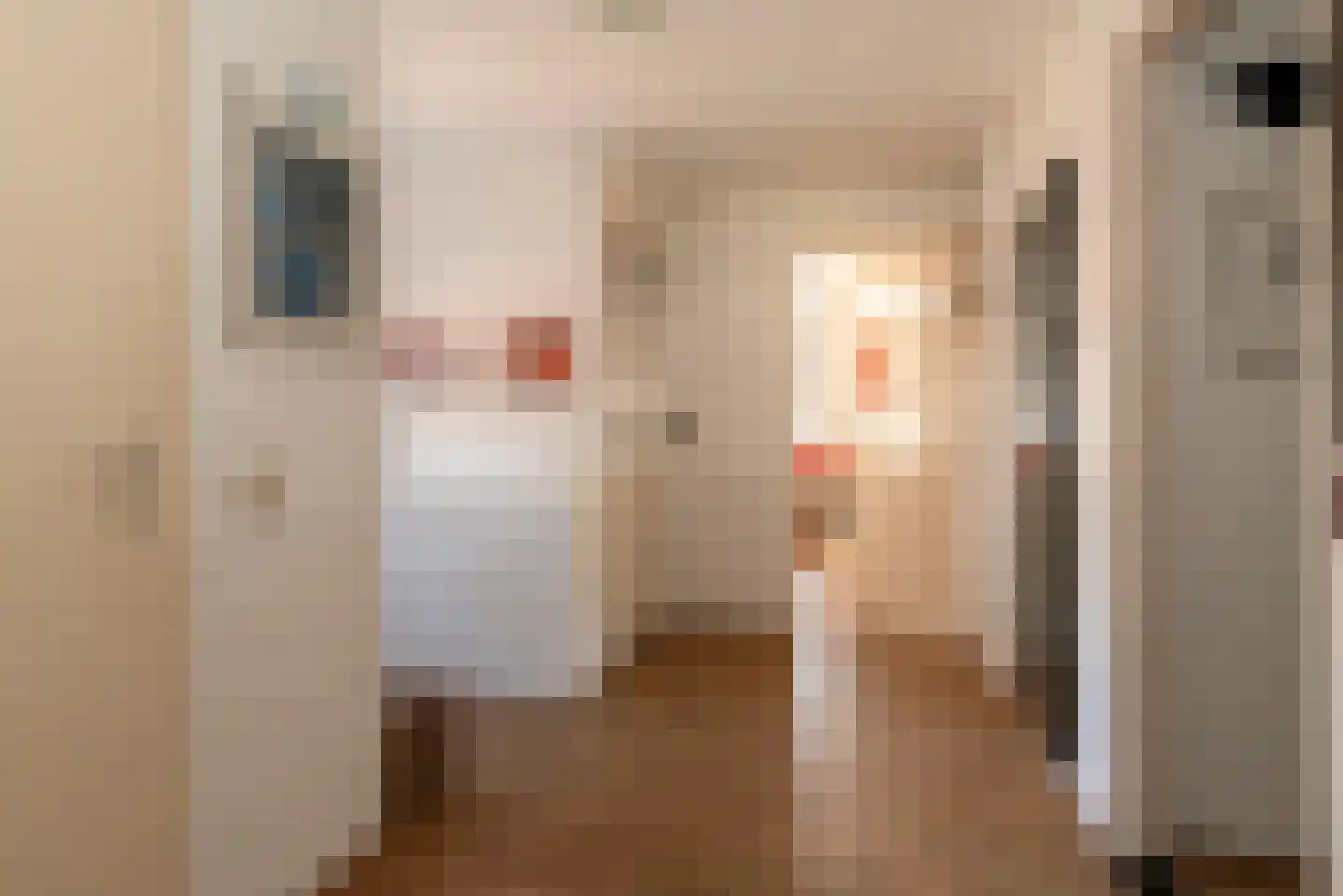 van Ostadestraat 53 A Hengelo thumbnail 7