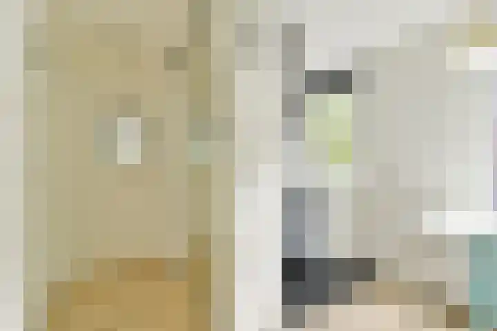 Van Ostadestraat 55 H Amsterdam thumbnail 8