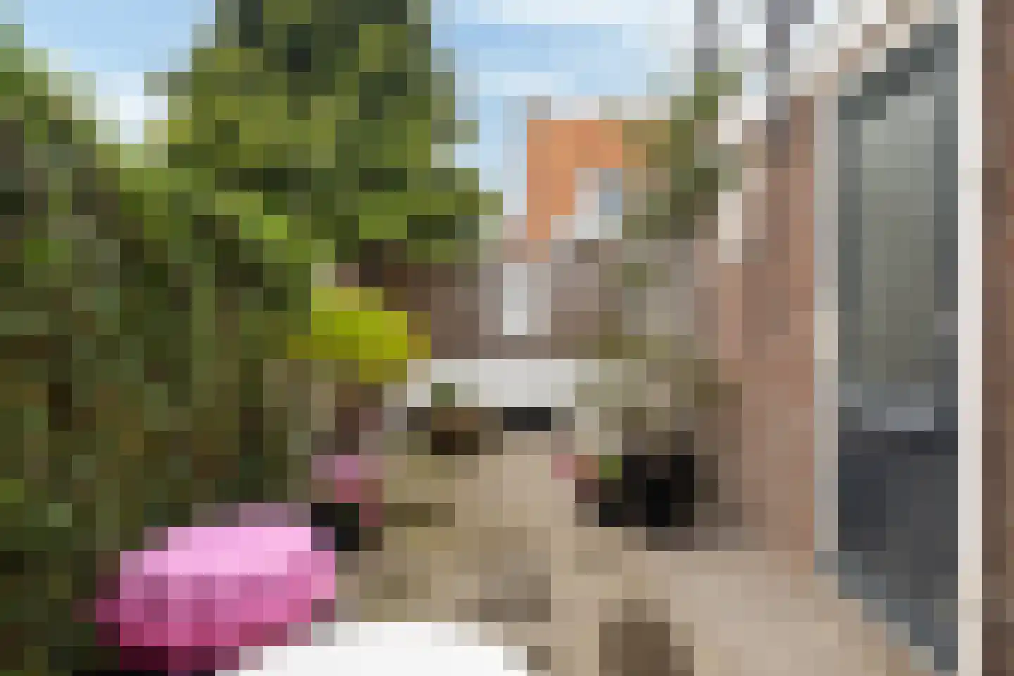 van Ostadestraat 58 Leeuwarden thumbnail 30