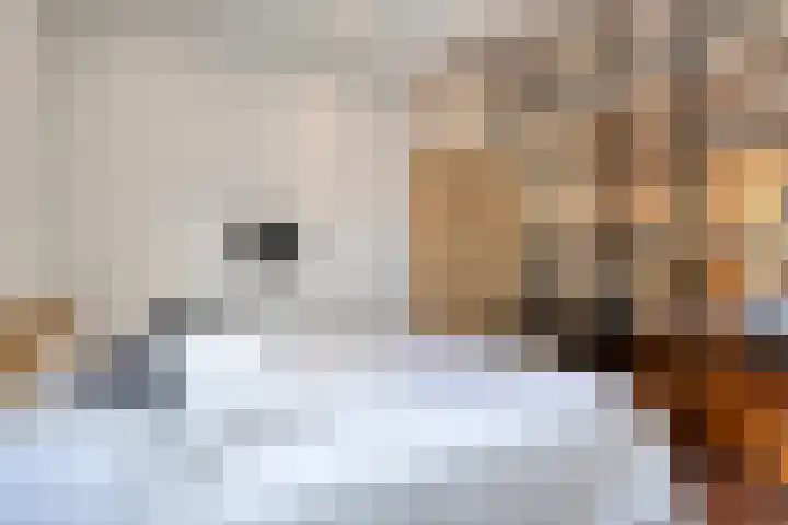Van Ostadestraat 59 2 Amsterdam thumbnail 25