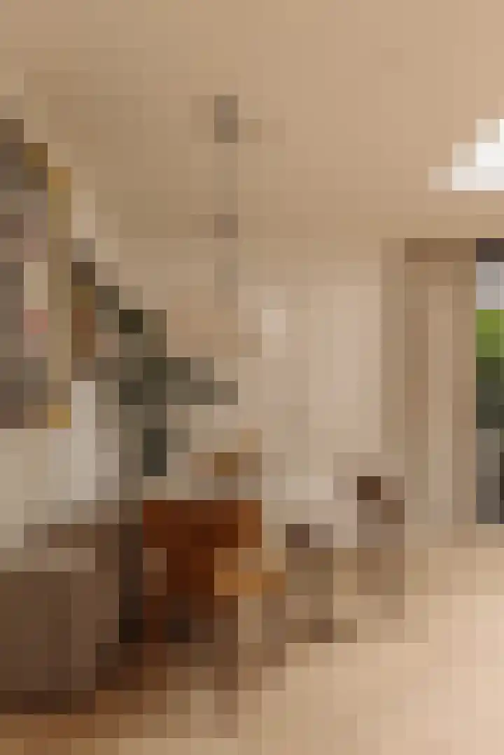 Van Ostadestraat 62 H Amsterdam thumbnail 21