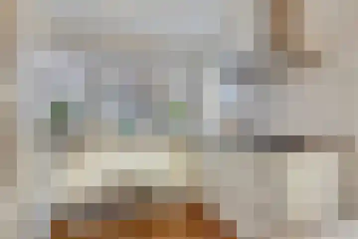 Van Ostadestraat 64 Assen thumbnail 14