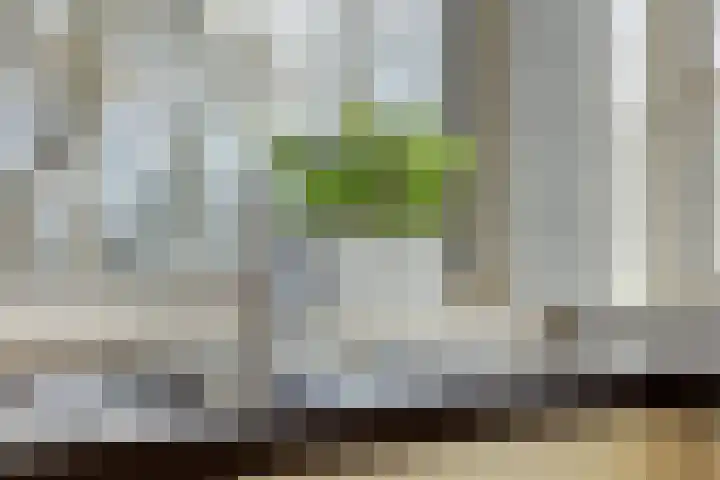 Van Ostadestraat 64 Assen thumbnail 16