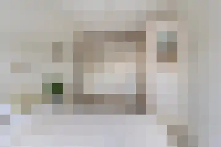 Van Ostadestraat 64 Assen thumbnail 19