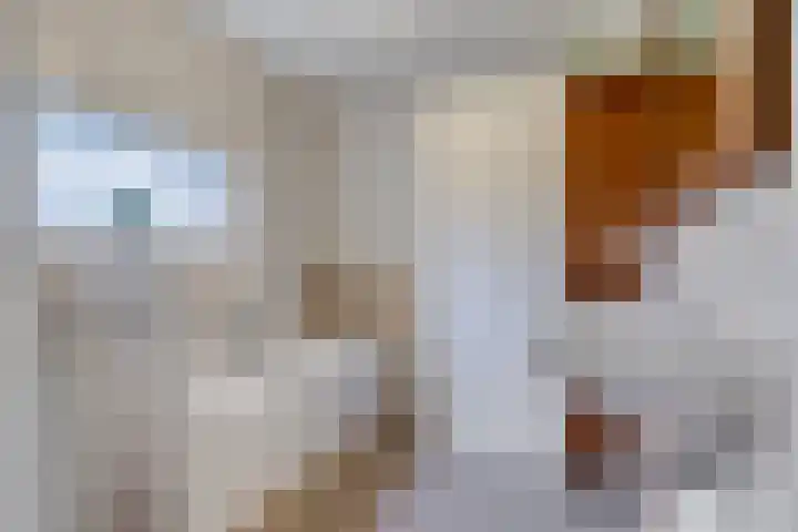 Van Ostadestraat 64 Assen thumbnail 20