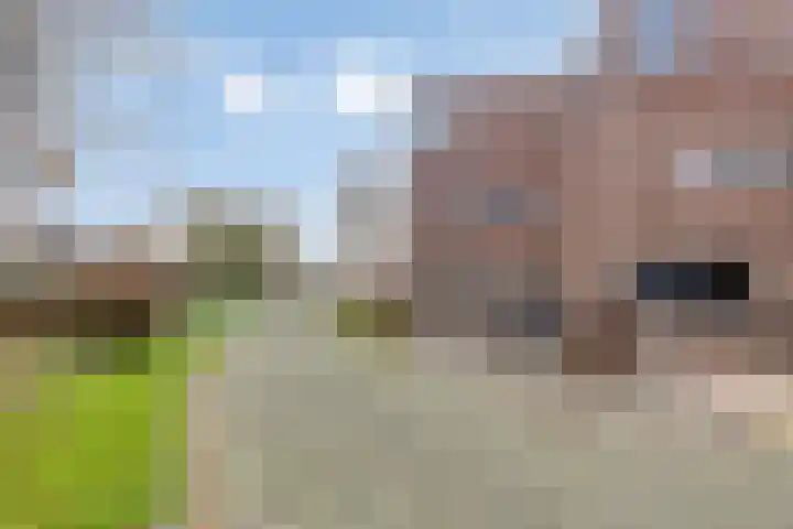 Van Ostadestraat 64 Assen thumbnail 31