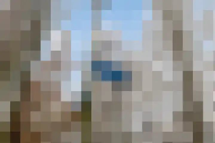 Van Ostadestraat 64 Assen thumbnail 37