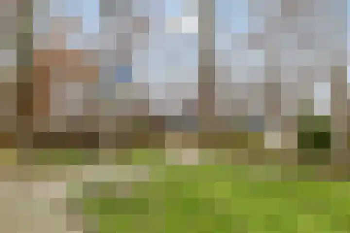 Van Ostadestraat 64 Assen thumbnail 38