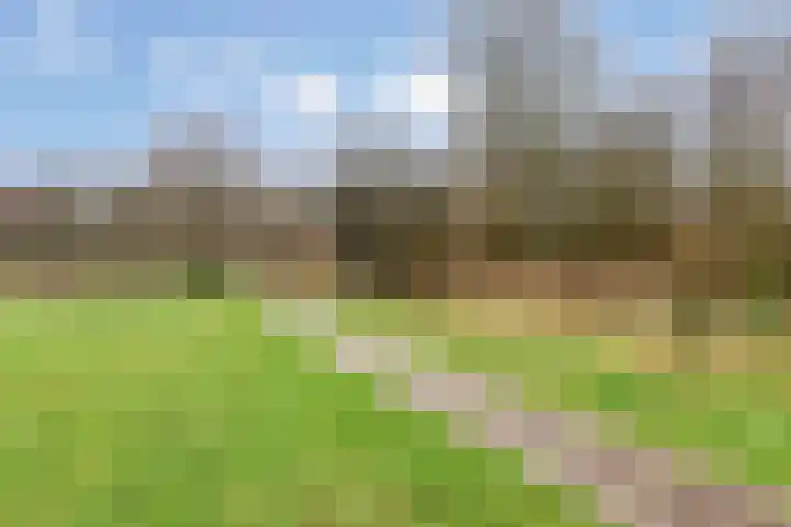 Van Ostadestraat 64 Assen thumbnail 39