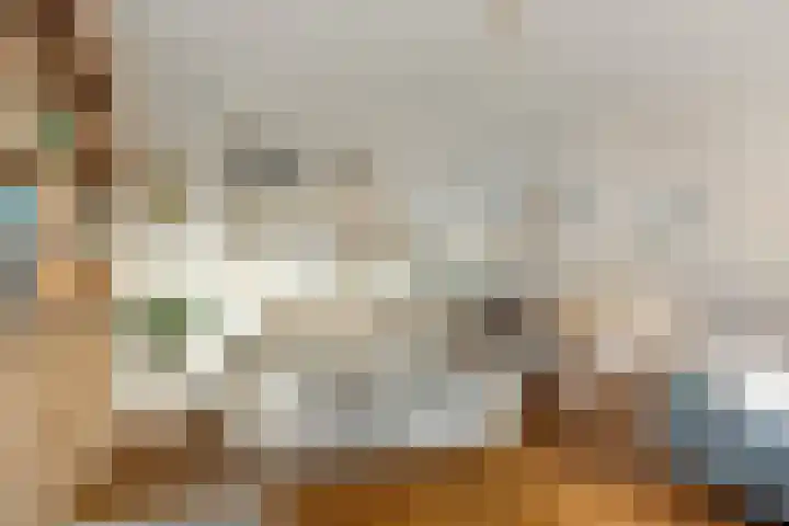 Van Ostadestraat 64 Assen thumbnail 8