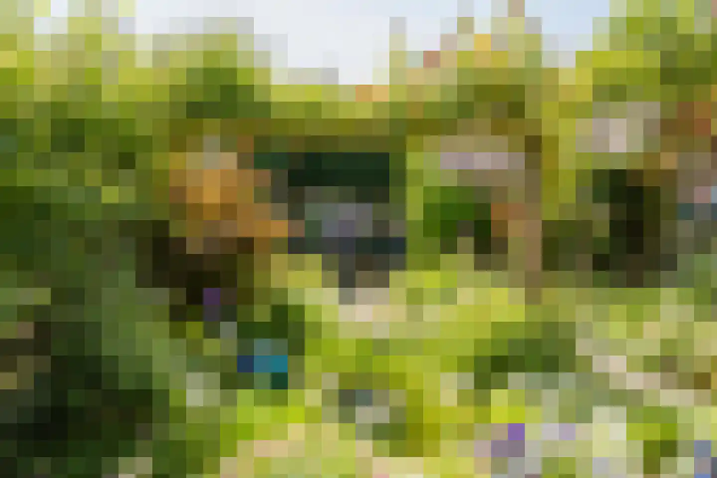 van Ostadestraat 66 Lisse thumbnail 43