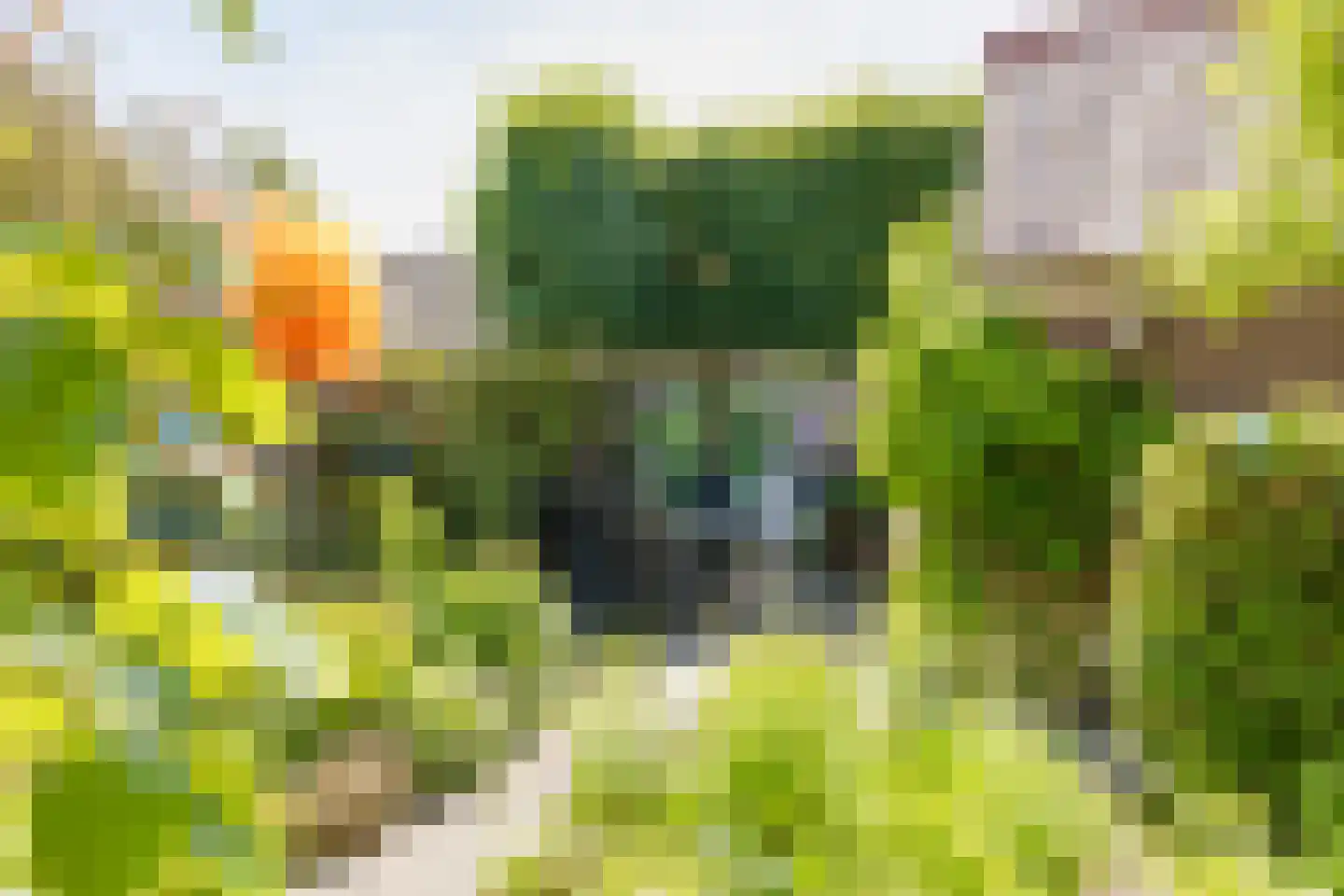 van Ostadestraat 66 Lisse thumbnail 45