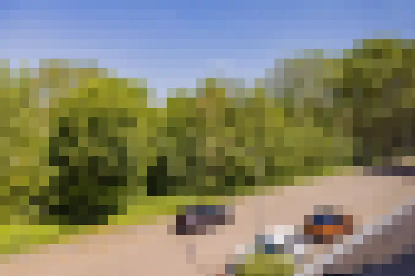 van Ostadestraat 66 Lisse thumbnail 48