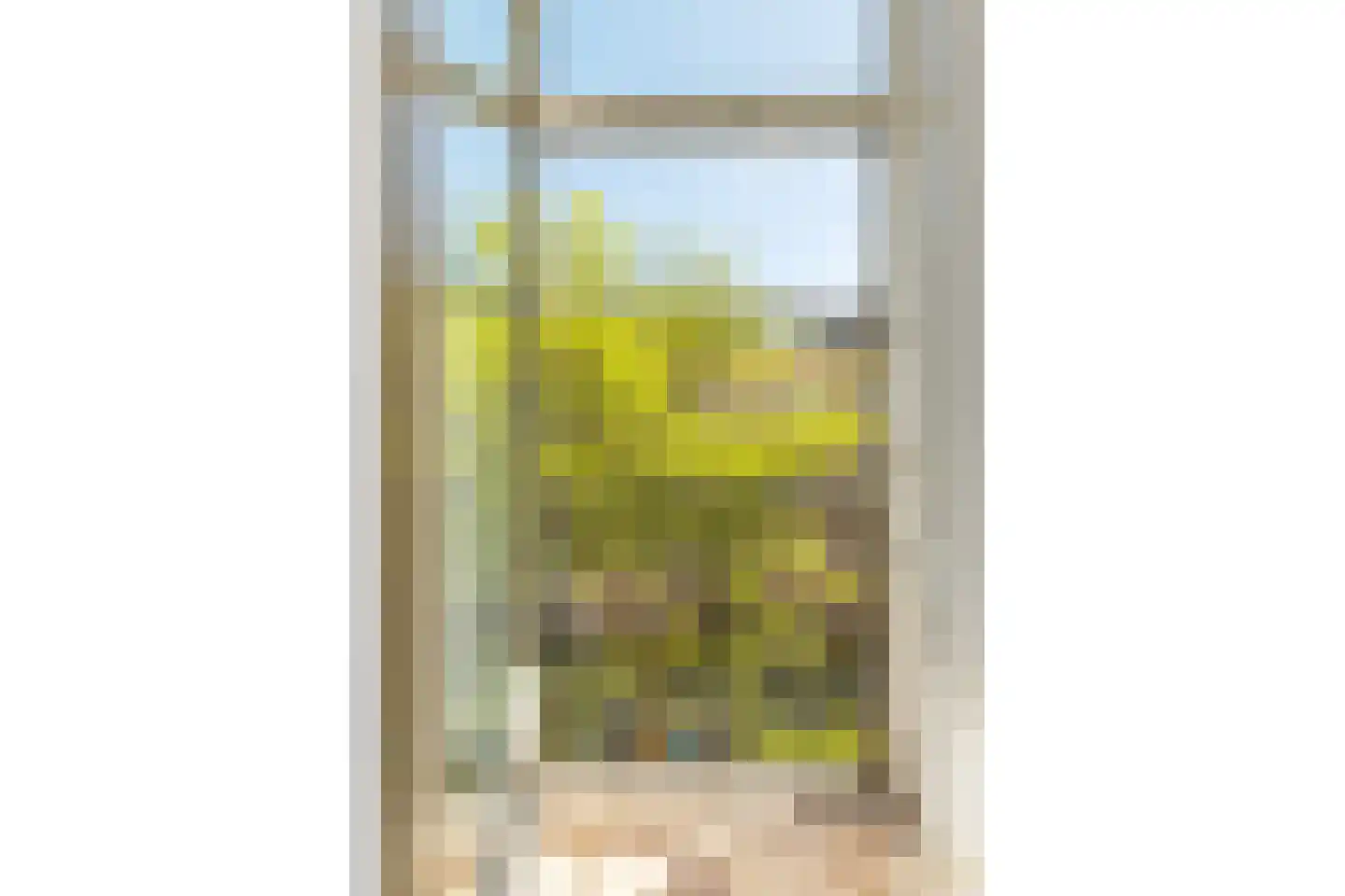 Van Ostadestraat 7 4 Amsterdam thumbnail 11