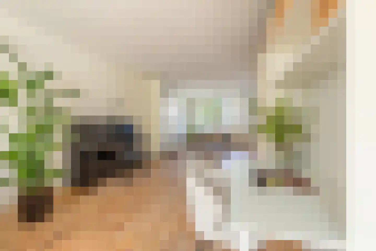 Van Ostadestraat 7 4 Amsterdam thumbnail 15