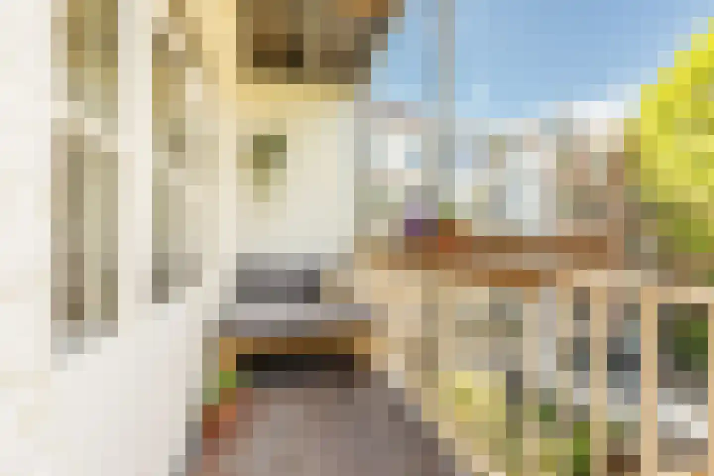 Van Ostadestraat 7 4 Amsterdam thumbnail 24