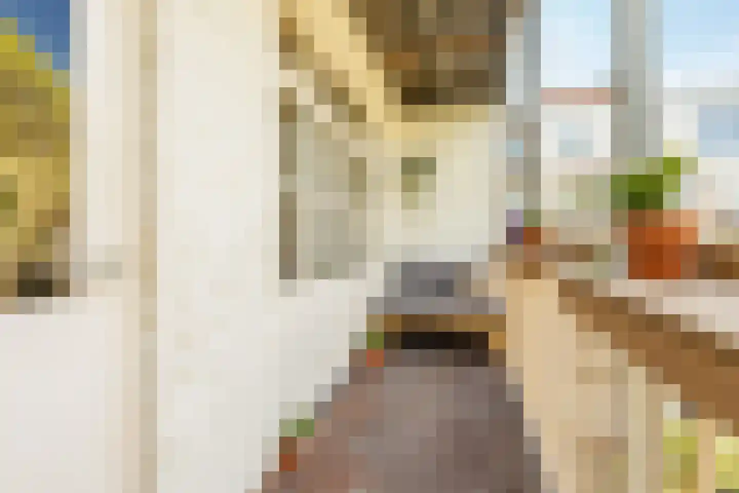 Van Ostadestraat 7 4 Amsterdam thumbnail 26