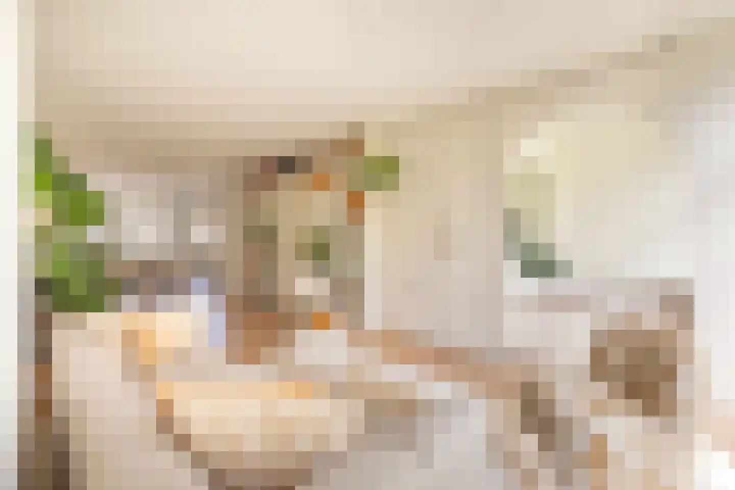 Van Ostadestraat 7 4 Amsterdam thumbnail 30