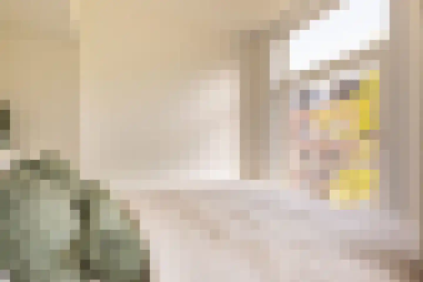Van Ostadestraat 7 4 Amsterdam thumbnail 33