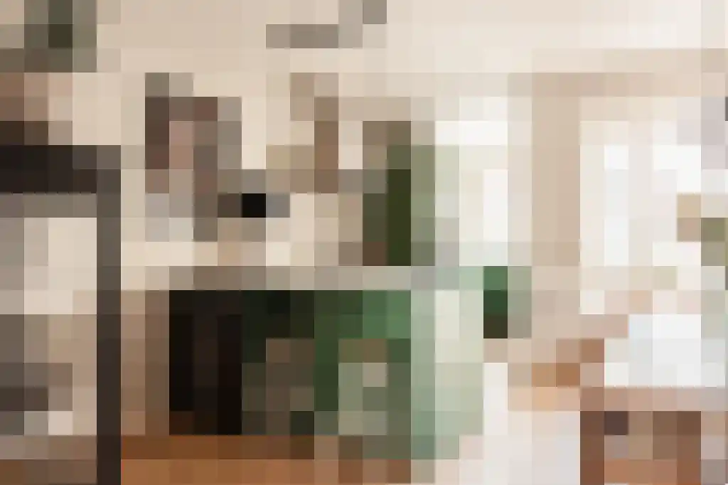 Van Ostadestraat 74 1 Amsterdam thumbnail 5